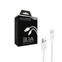 Auris CB33 Eco Lightning Kablo 3,1A