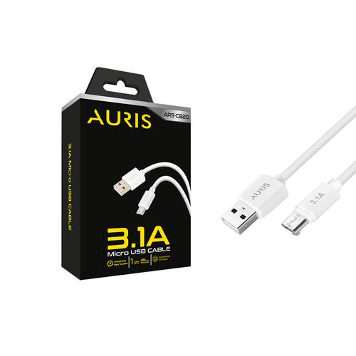 Auris CB20 Micro Kablo 3,1Amper 100cm 