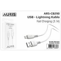 Auris CB290 3.1A Lightning Usb Kablo