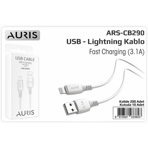 Auris CB290 3.1A Lightning Usb Kablo