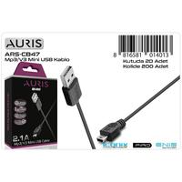 Auris CB47 V3 MP3 Şarj ve Data Kablosu