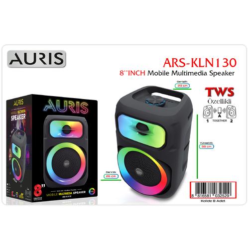 Auris KLN130 8 İnch Speaker
