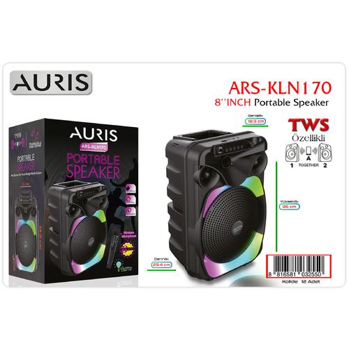 Auris KLN170 8 İnch Speaker