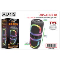 Auris KLN210 8X2 İnch Speaker