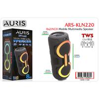 Auris KLN220 8X2 İnch Speaker