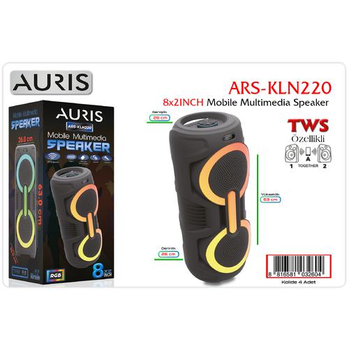 Auris KLN220 8X2 İnch Speaker