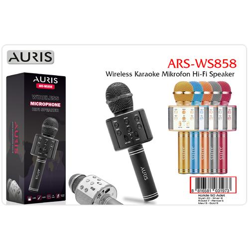 Auris WS858 Kareoke Mikrofon